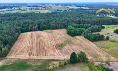 Działka Sprzedaż Wojtele