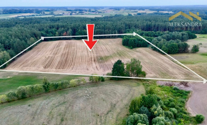 Działka Sprzedaż Wojtele