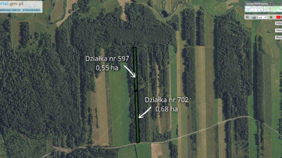 Działka Sprzedaż Sojczyn Grądowy