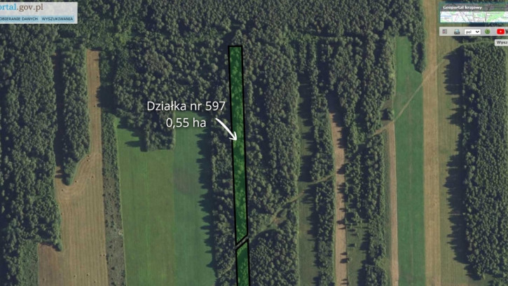 Działka Sprzedaż Sojczyn Grądowy 4