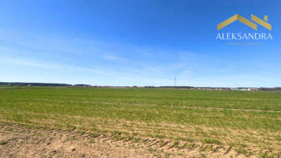 Działka Sprzedaż Grajewo